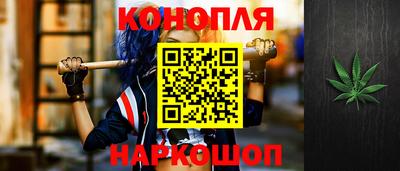 гидропоника Будённовск