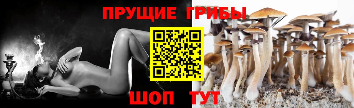 Лангепас  Псилоцибиновые грибы ЛСД  Вход с VPN 